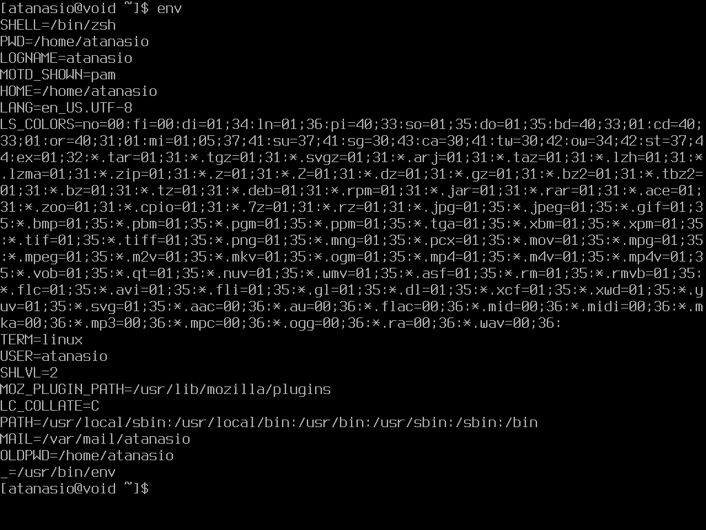 Env Void Linux CLI