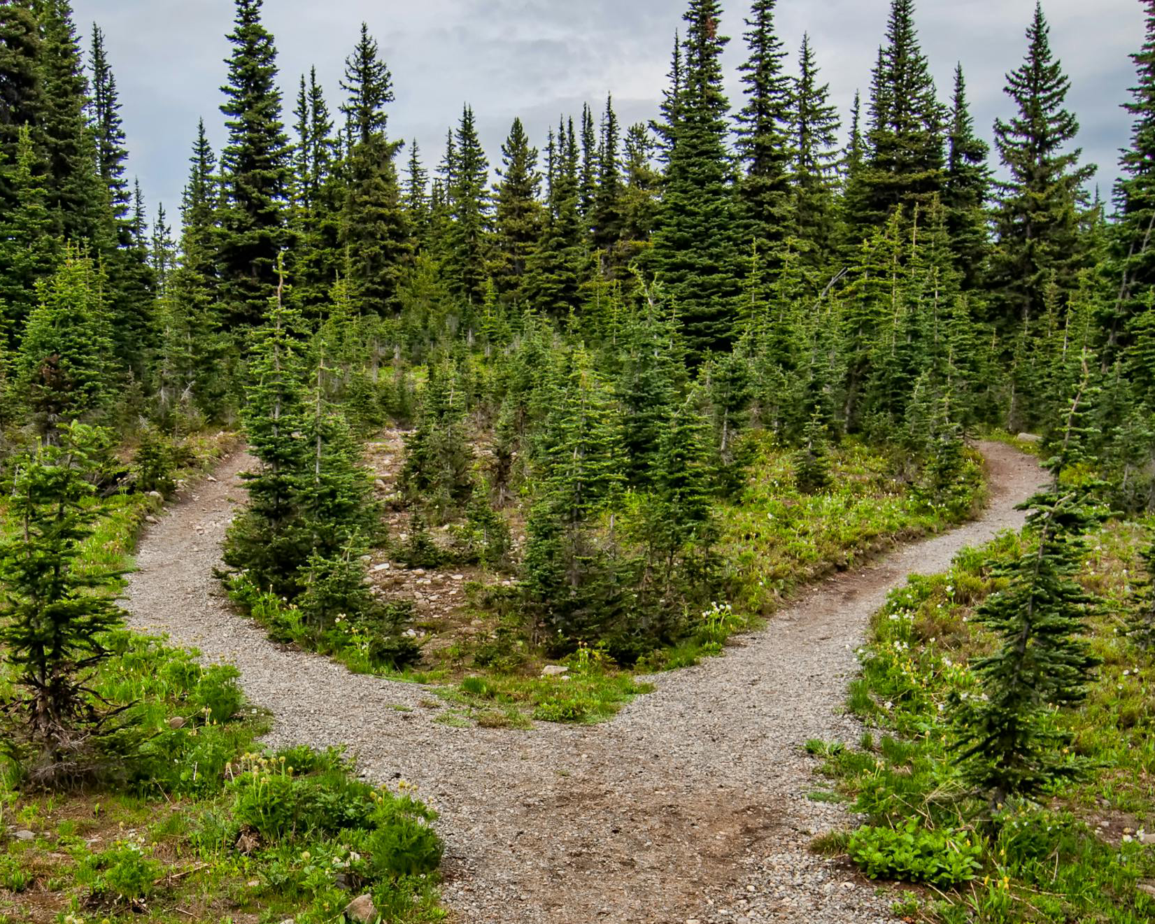 fork in road manning park cropped